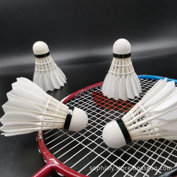 Colorfast Amateur Training Level Badmintons im Freien
